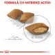 Royal Canin Mini Exigent Care – Hrană Uscată pentru Câini Adulți de Talie Mică, cu Apetit Capricios – 1 kg